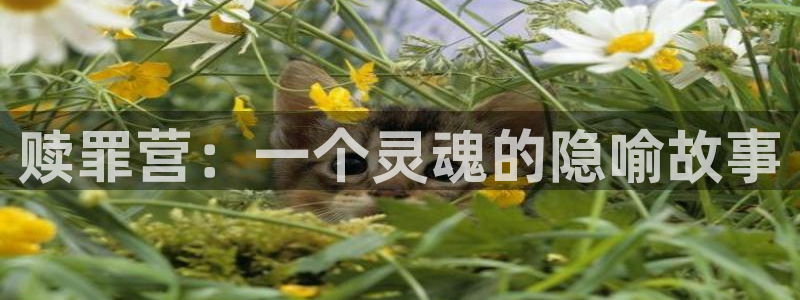 漫画岛下载：赎罪营：一个灵魂的隐喻故事